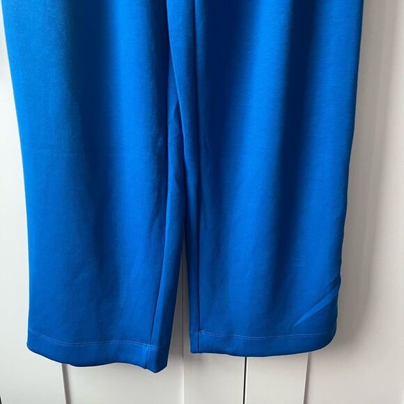 Cinq a sept Blue Knit Pleated Pull On Trouser Pants Sz 2 NWT - Picture 4 of 12